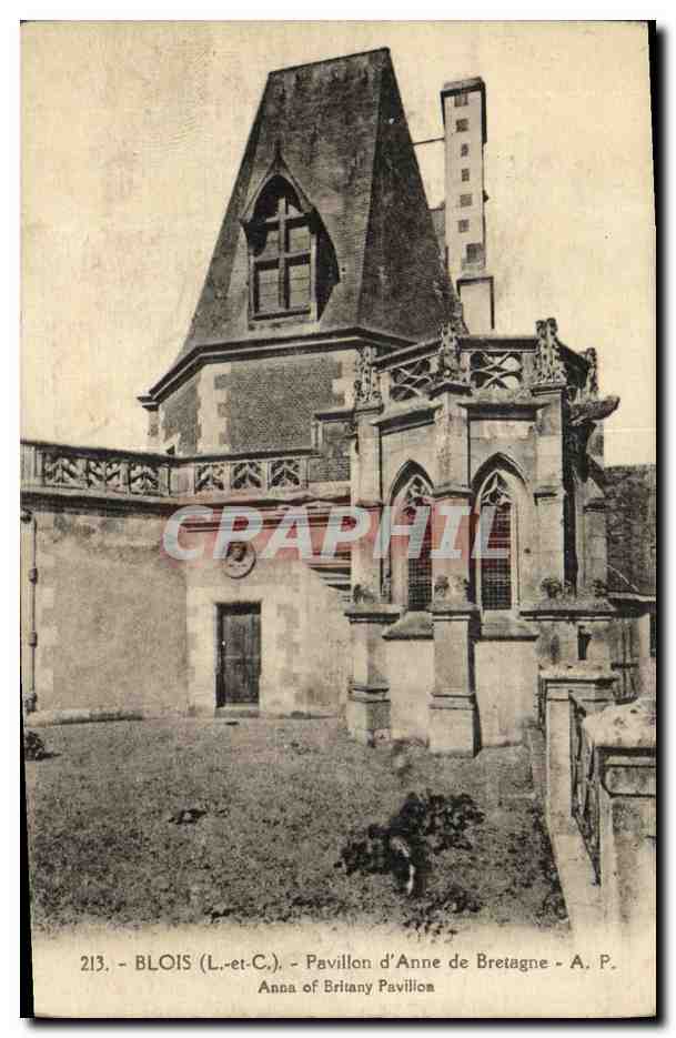 CPA Blois Pavillon d Anne de Bretagne
