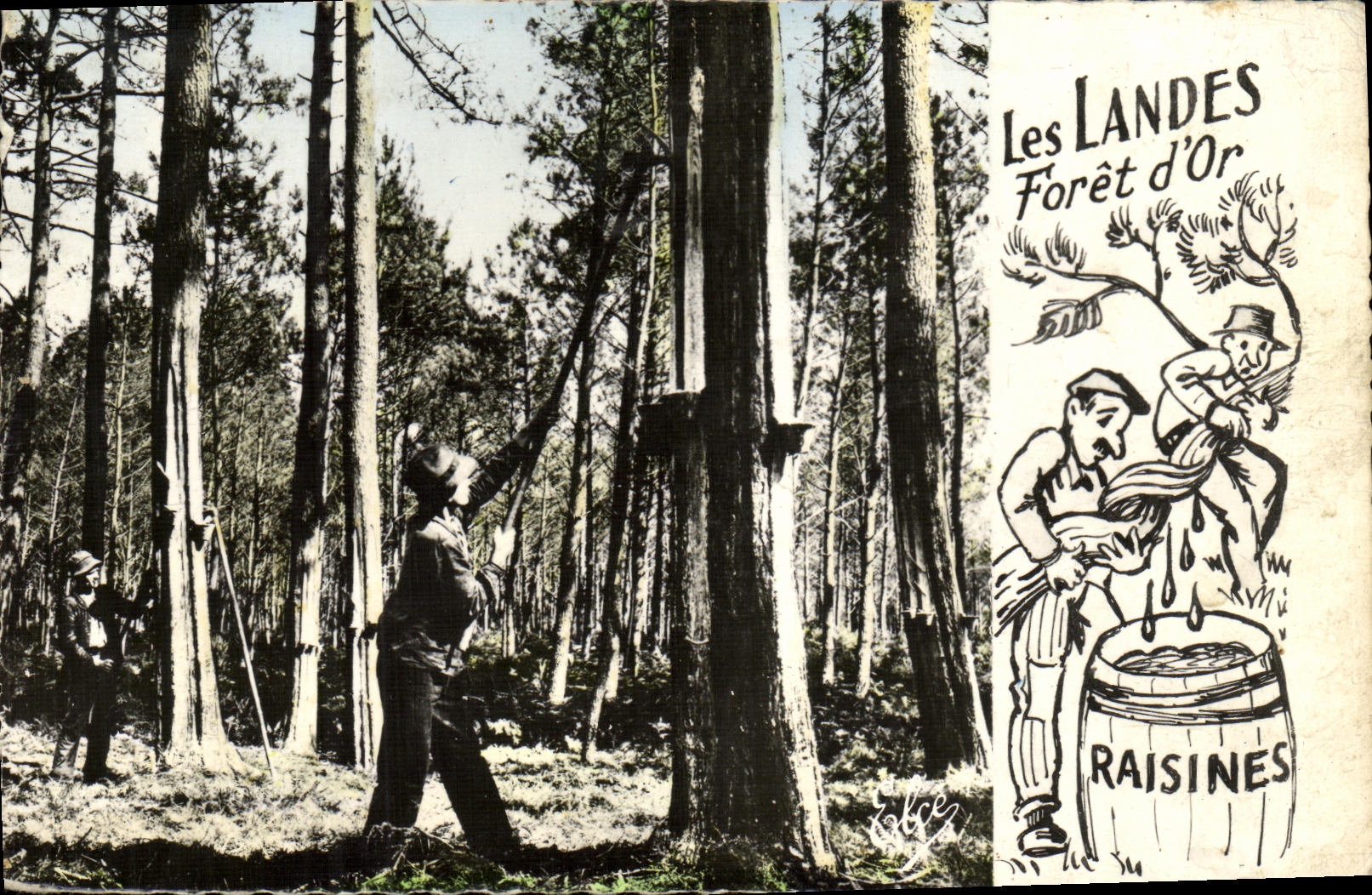 CPA Les Landes Resinier ou Travail Foret d or 