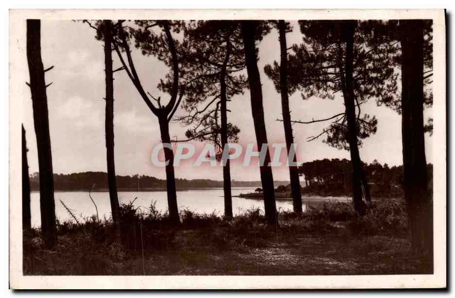 Hossegor — Vue générale sur le Lac, à travers les Pins — Édition Lucien Capbreton