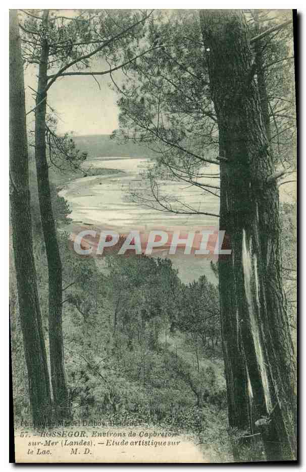 Rossegor, Environs de Capbreton (Landes) — Étude artistique sur le Lac — M. D.