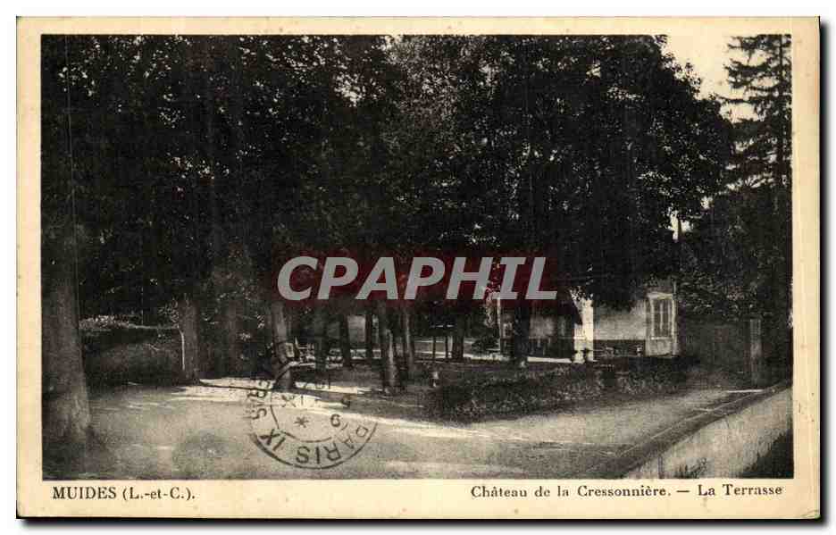 CPA Muides Chateau de la Cressonniere La Terrasse
