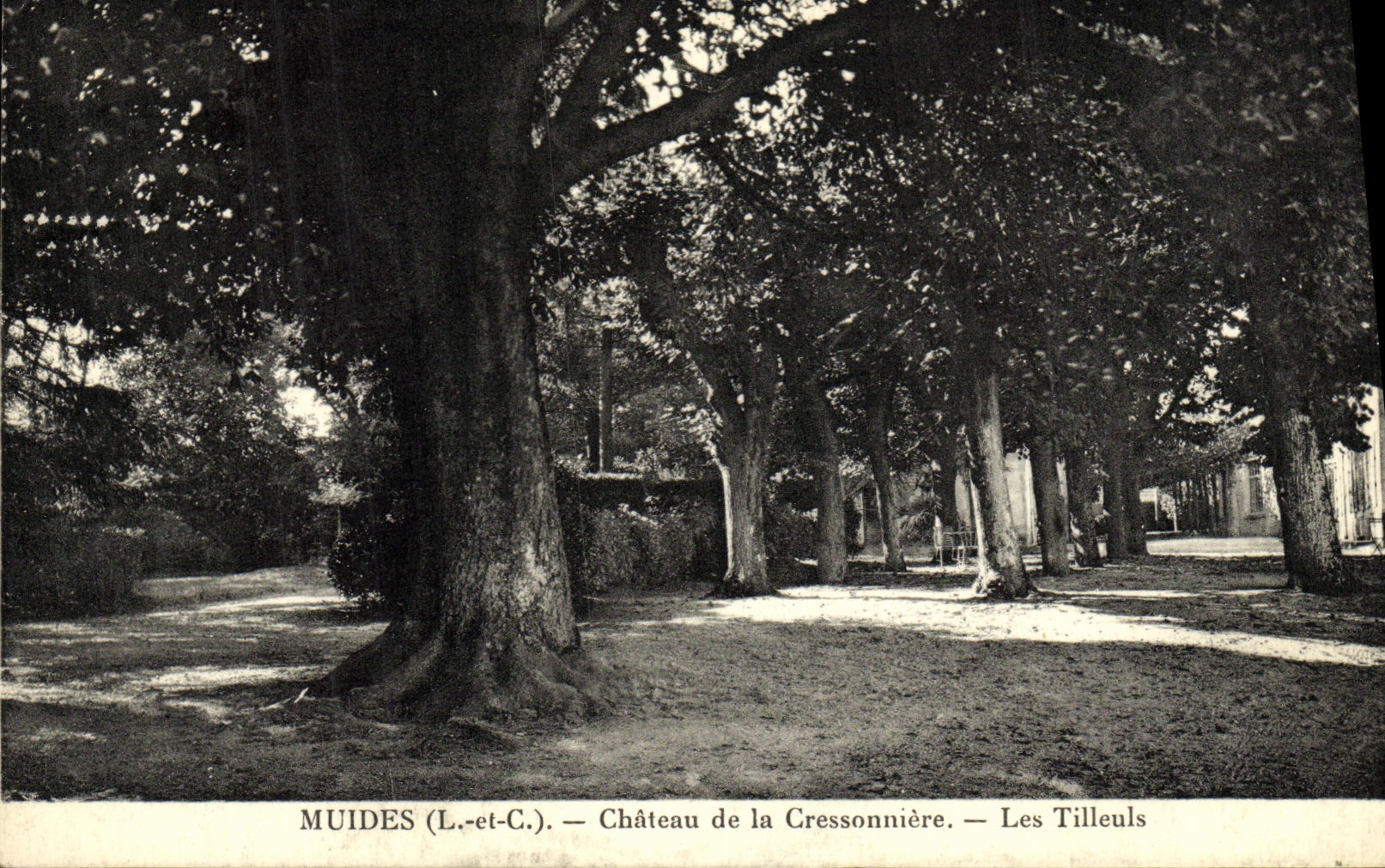 Muides (L.-et-C.) — Château de la Cressonnière — Les Tilleuls