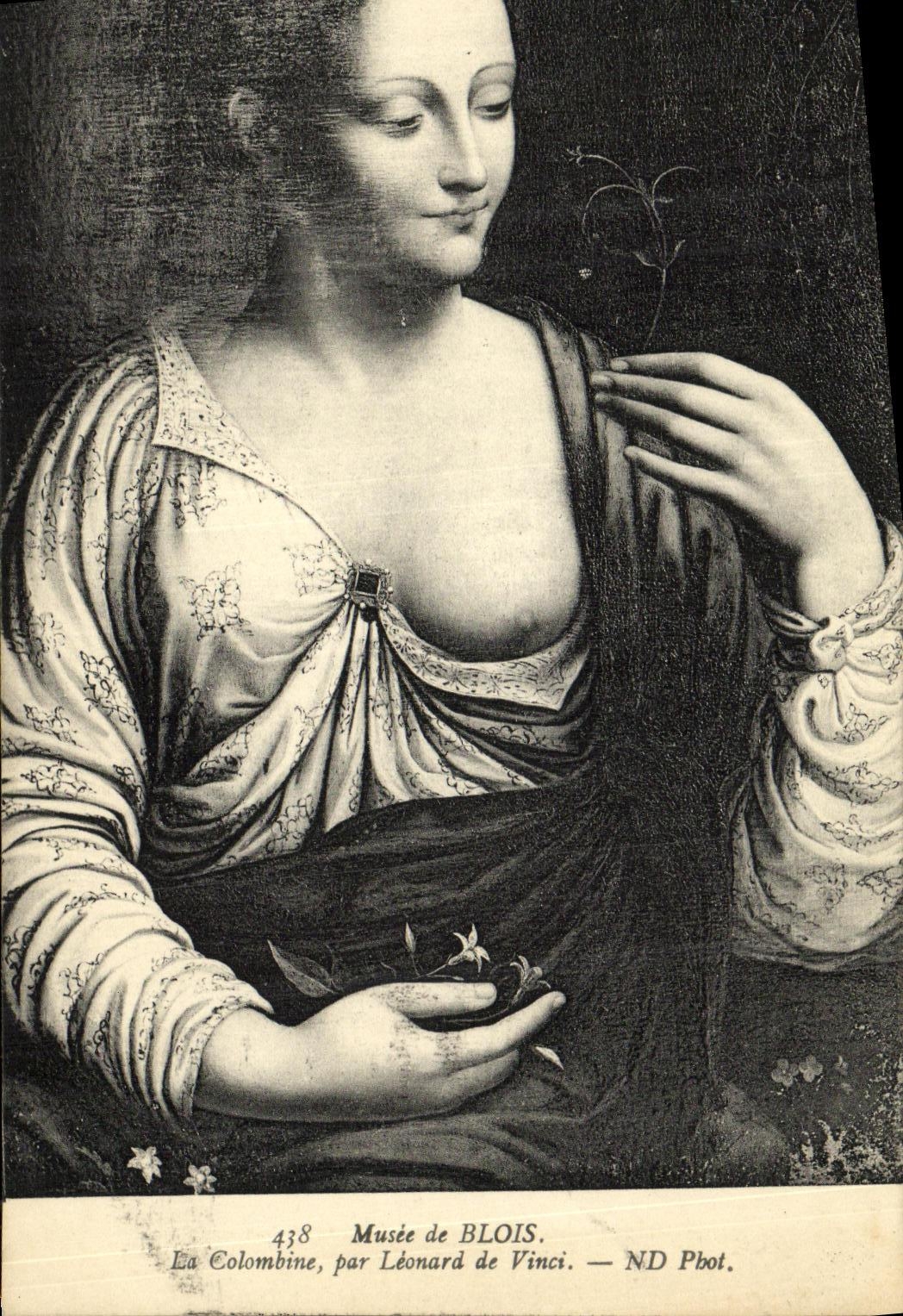 CPA Blois Musee de La Colombine par Leonard de Vinci