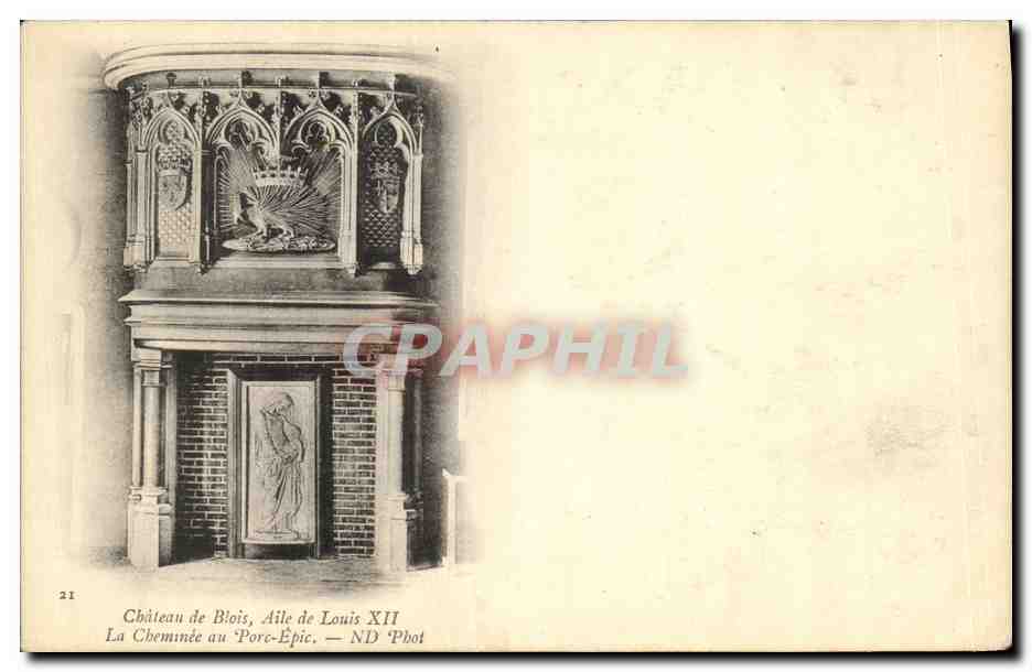 CPA Blois Chateau Aile de Louis XII La Chaminee au Porc Epic