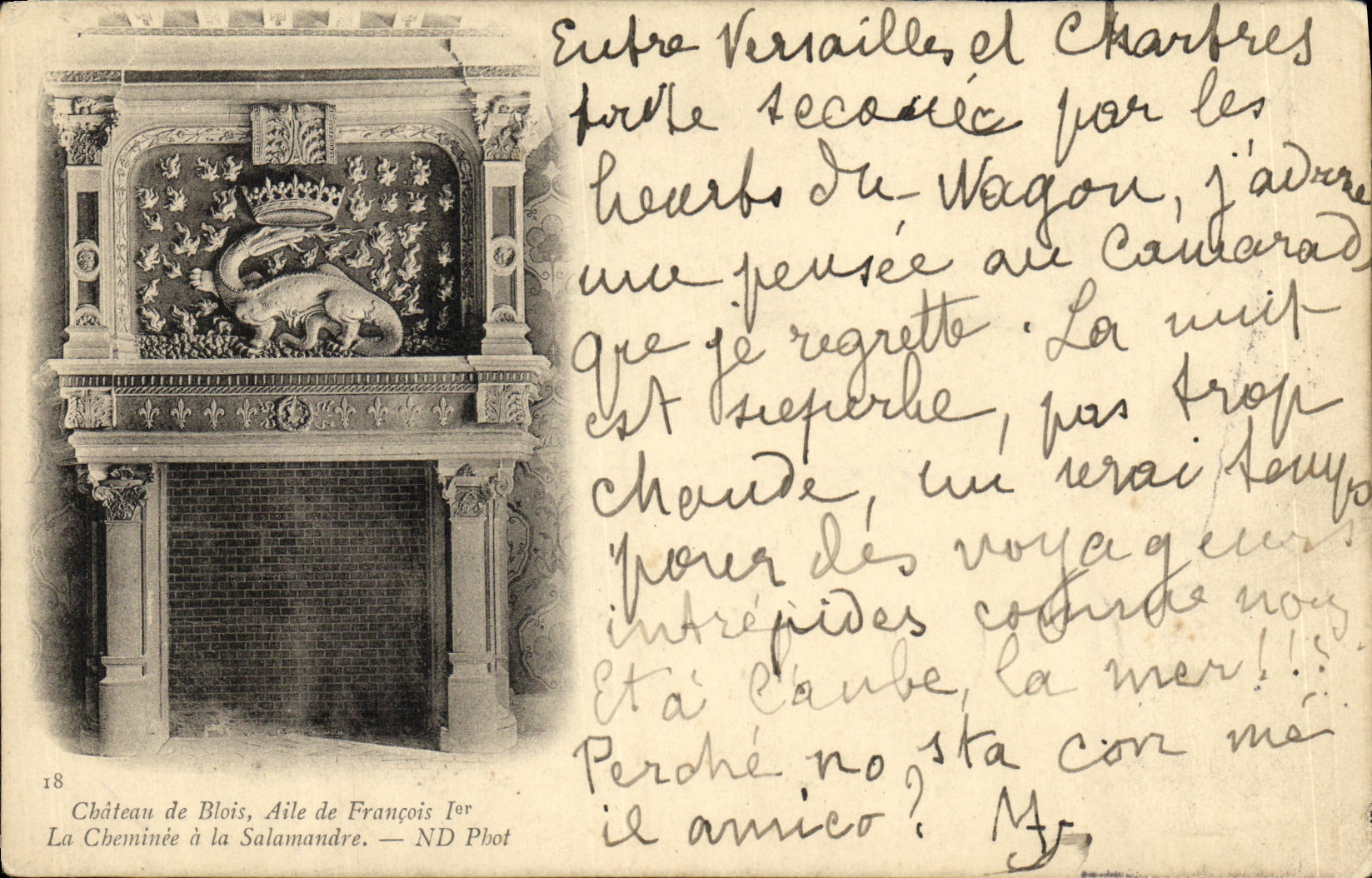 CPA Blois Le Chateau Aile de Francois 1er La cheminee de la Salamandre