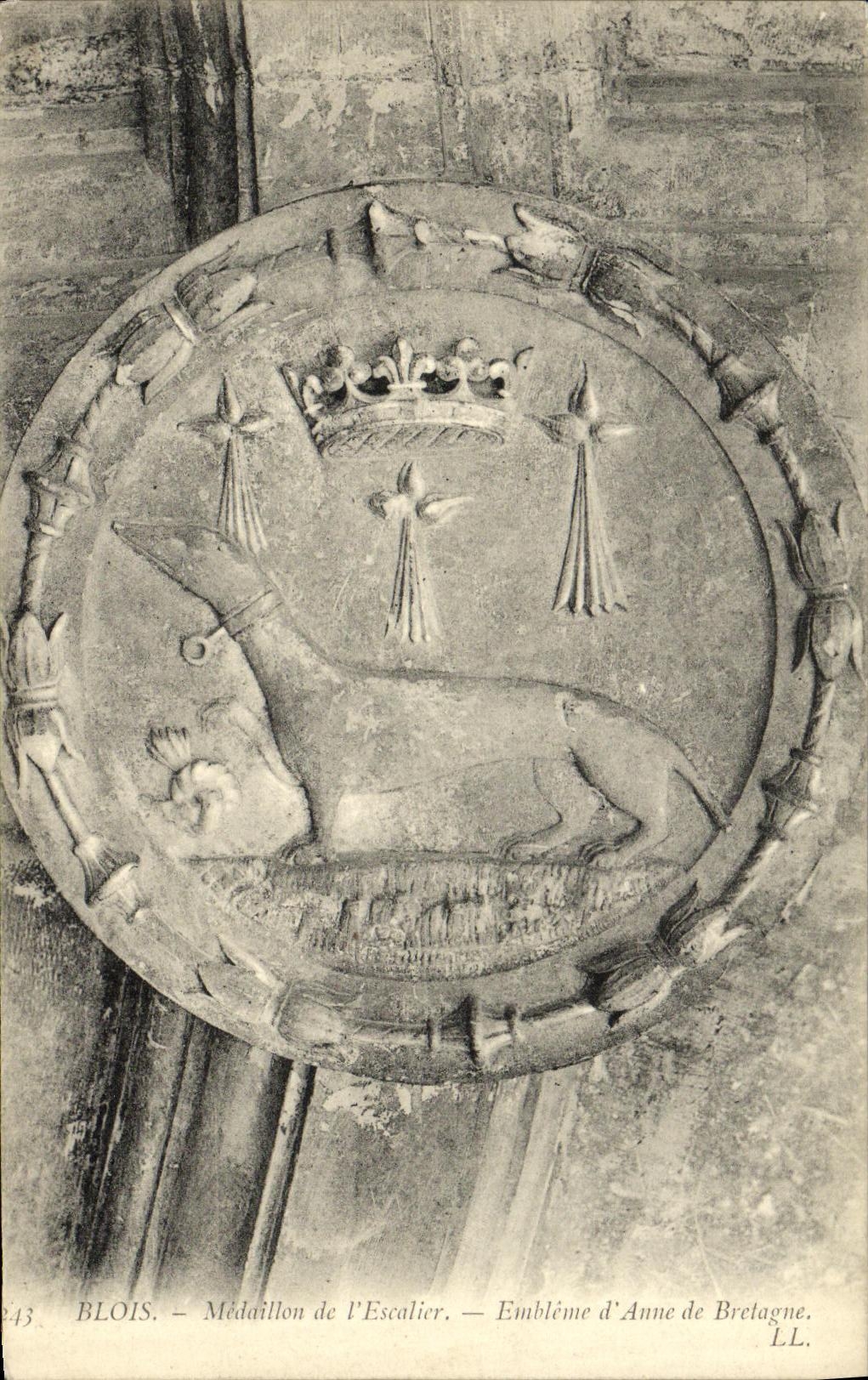 CPA Blois Medaillon de L Escalier Embleme d Anne de Bretagne