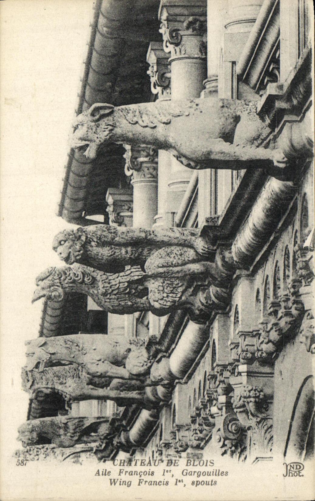 CPA Blois Le Chateau Aile Francois 1er Gargouilles 