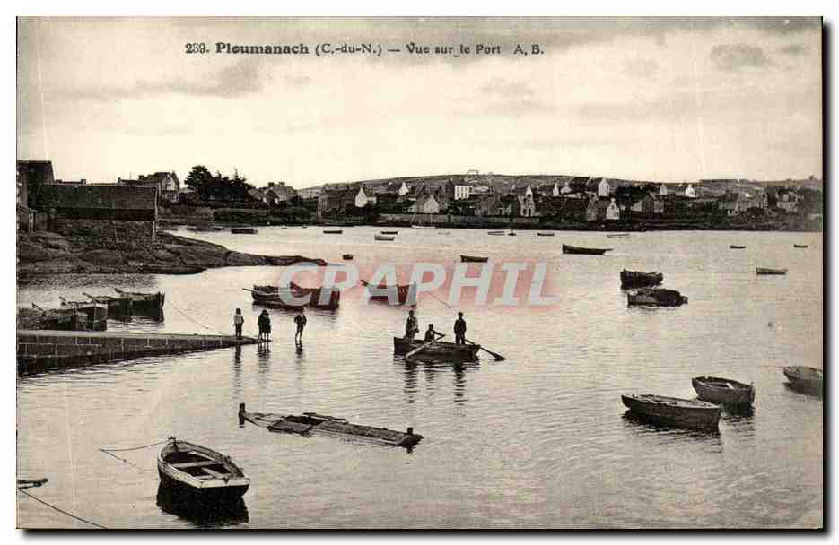 CPA Ploumanch Vue Sur le Port