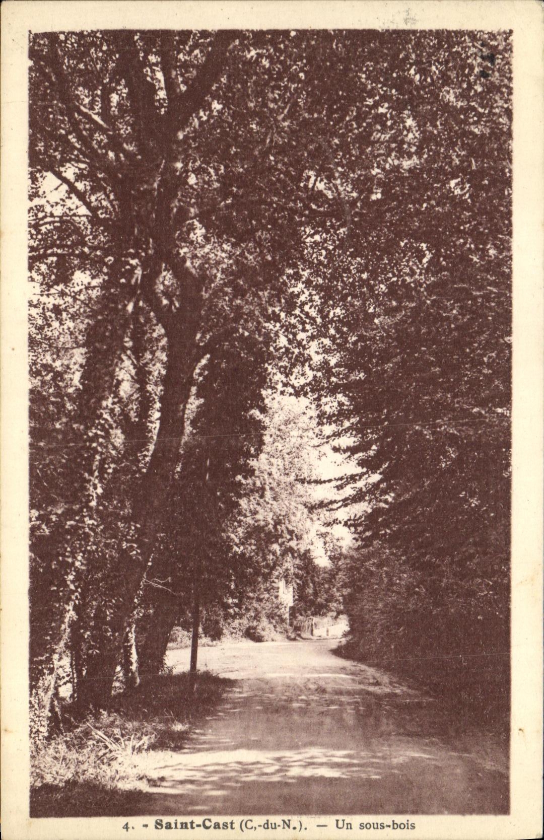 Saint-Cast (C.-du-N.) — Un sous-bois — Édition Decuyper
