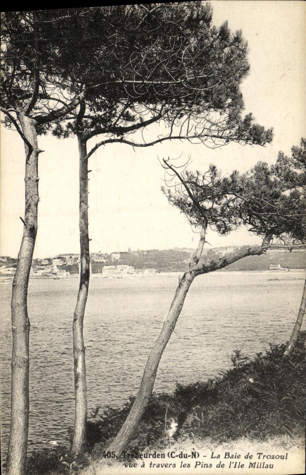La Baie de Trozoul — vue à travers les Pins de l'Île Millau — Phototypie A. BAILL, Angers, n°405