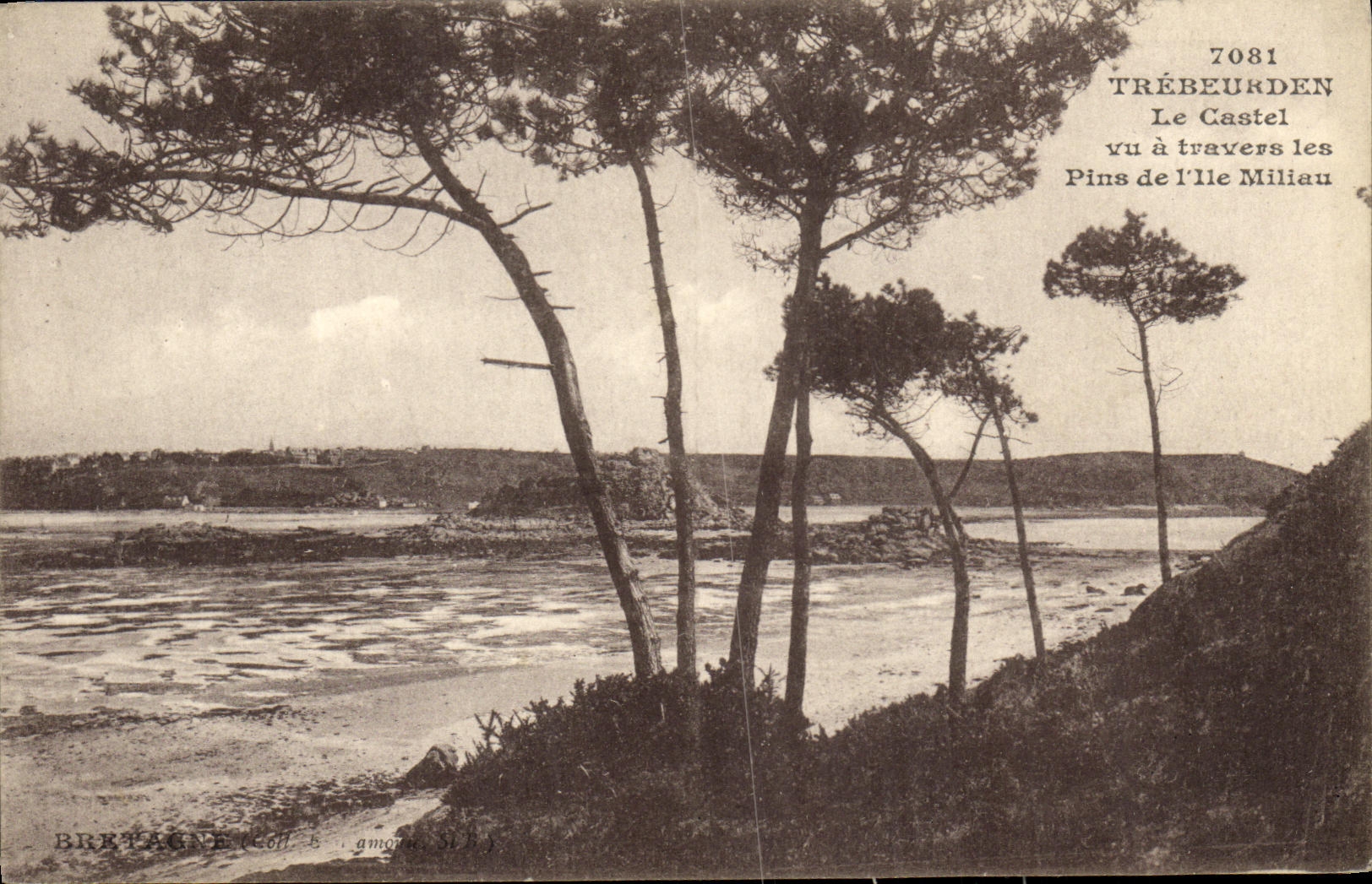 Trébeurden — Le Castel vu à travers les Pins de l'Île Milliau — Bretonne & Comp. n°7081