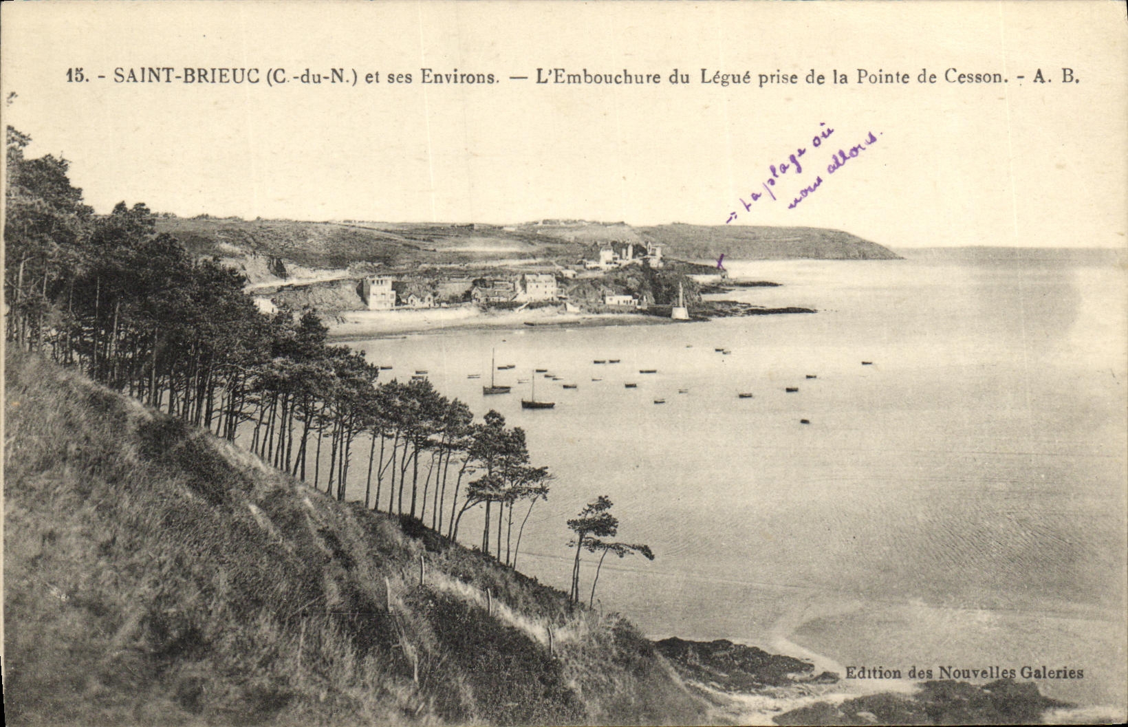 CPA Saint Brieuc L embouchure du Legue prise de la pointe de Cesson 