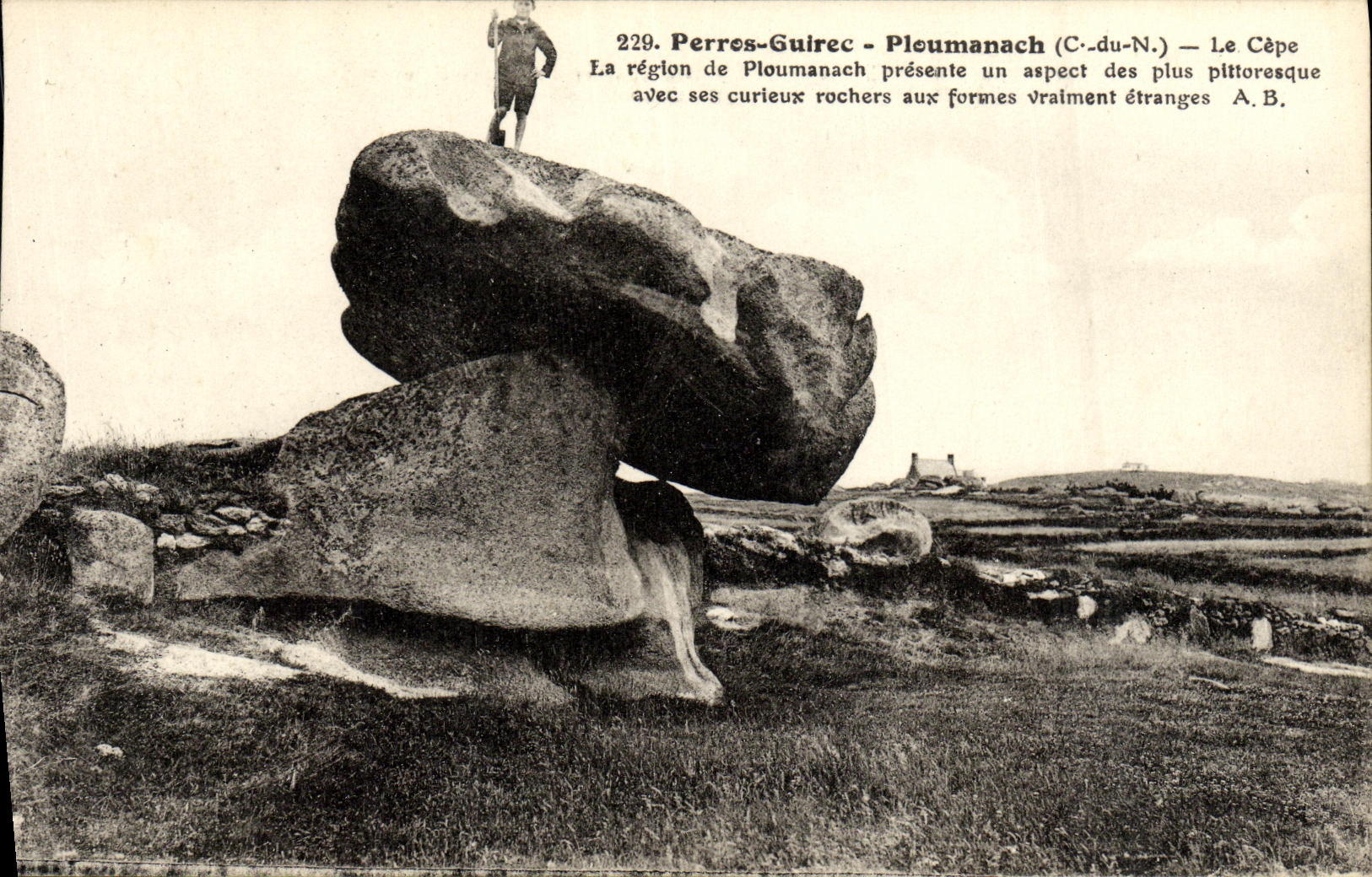 Perres-Guirec - Ploumanach (C.-du-N.) — Le Cèpe