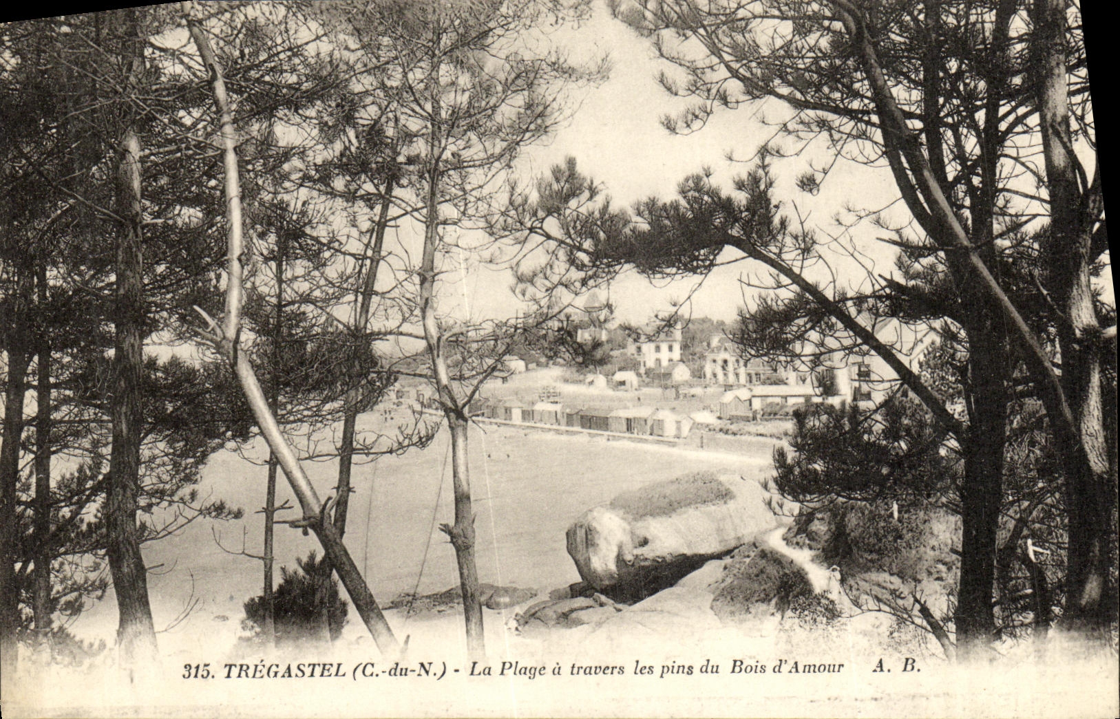 Trégastel (C.-du-N.) - La Plage à travers les pins du Bois d'Amour — A. B., n° 315