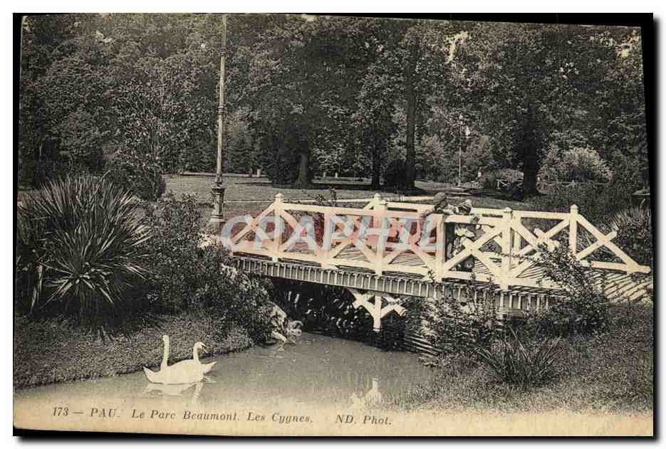 Pau. Le Parc Beaumont. Les Cygnes — ND. Phot. n°173