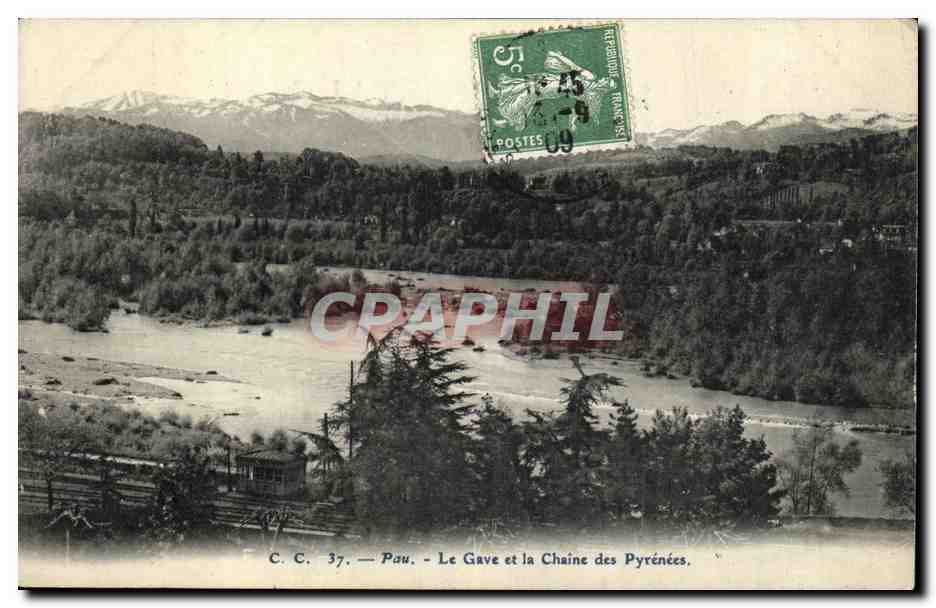 CPA Pau Le Gave et la Chaine des Pyrenees