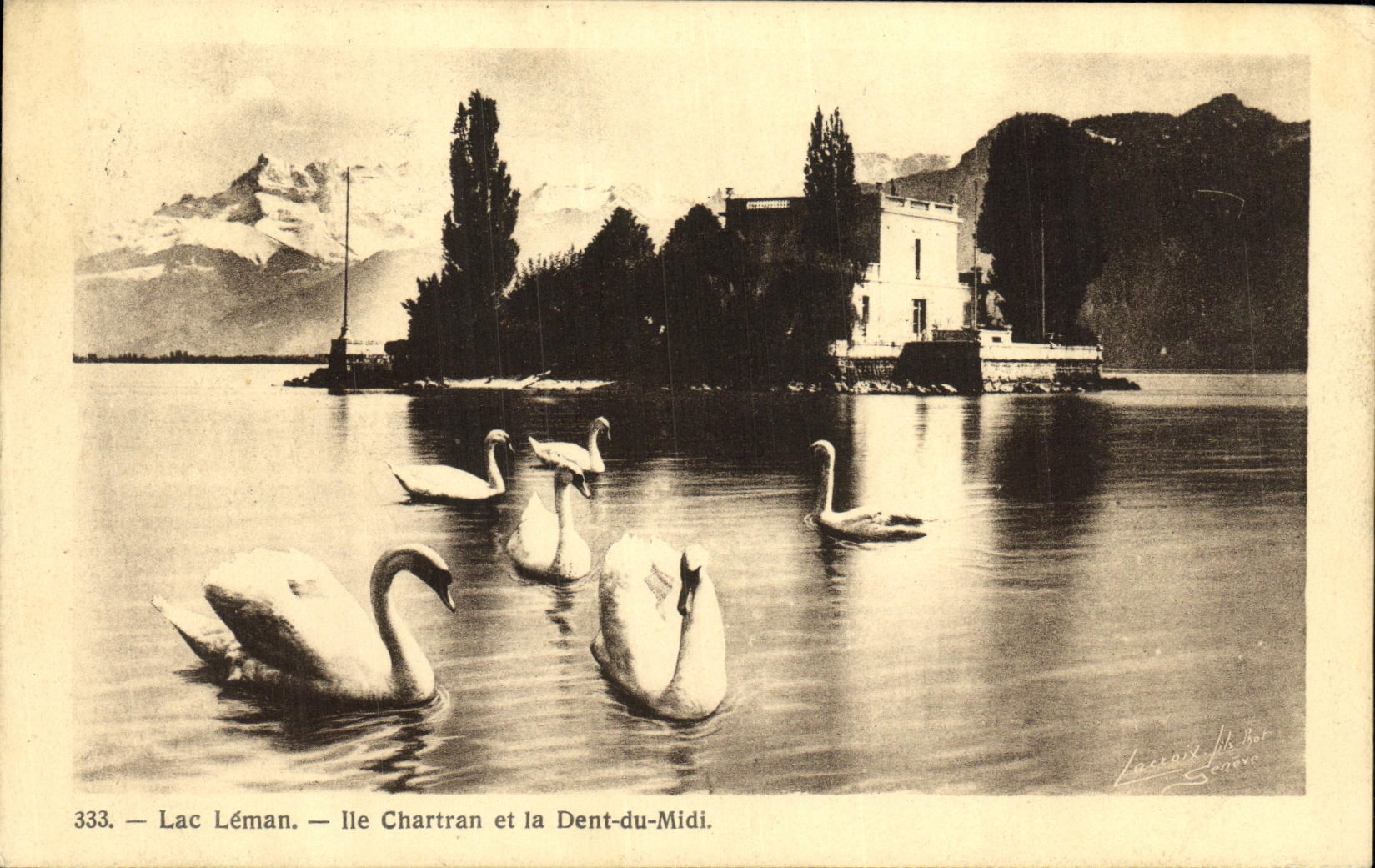CPA Lac Leman Ile Chartran et la Dent du Midi Cygnes