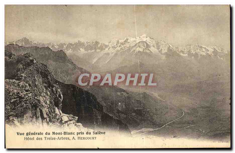 CPA Chamonix Mont Blanc Vue Generale prise du Saleve Hotel des treize arbres 