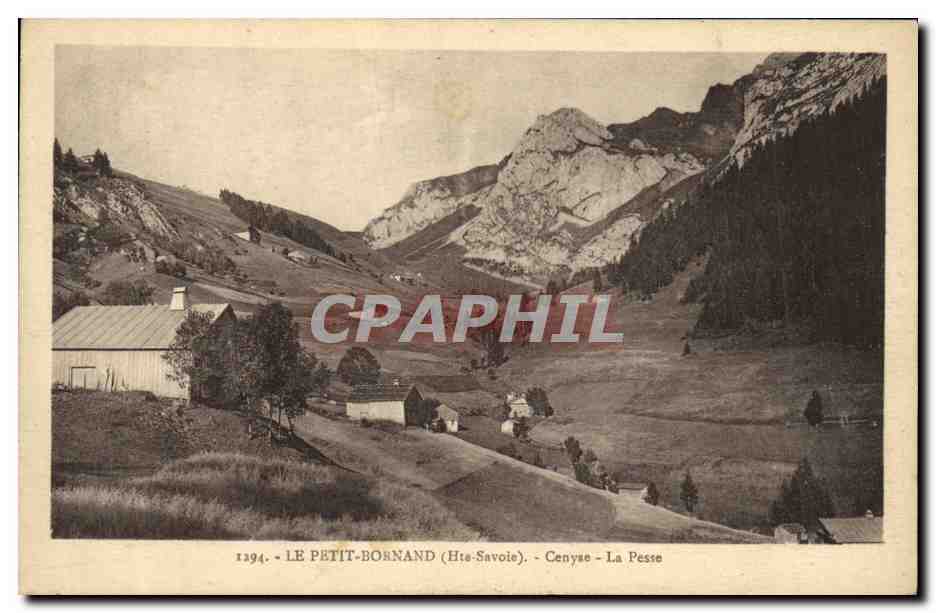 CPA Le Petit Bornand Cenyse La Pesse
