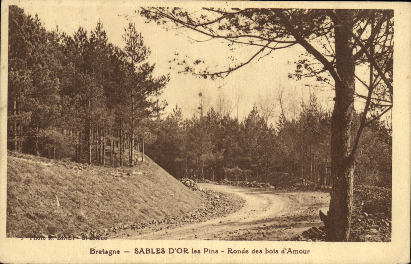 Sables d'Or les Pins — Ronde des bois d'Amour — Photo R. BINET - St-Brieuc
