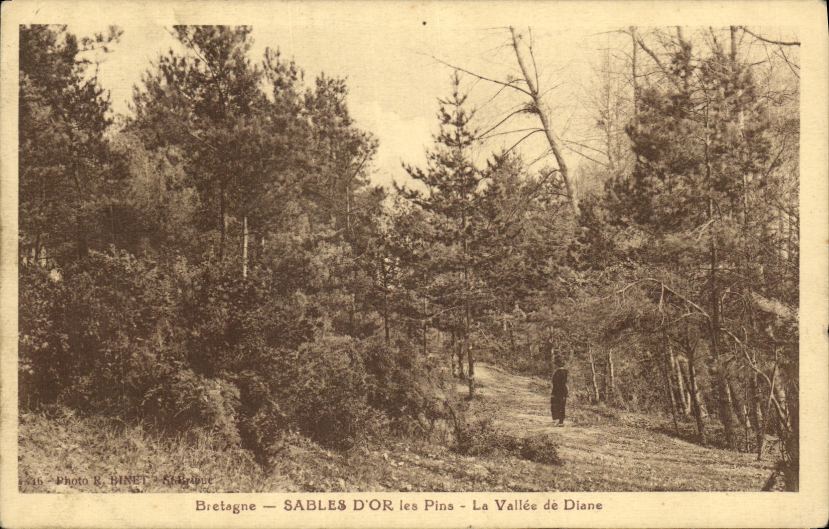 Sables d'Or les Pins — La Vallée de Diane — Photo R. BINET, Saint-Jacques