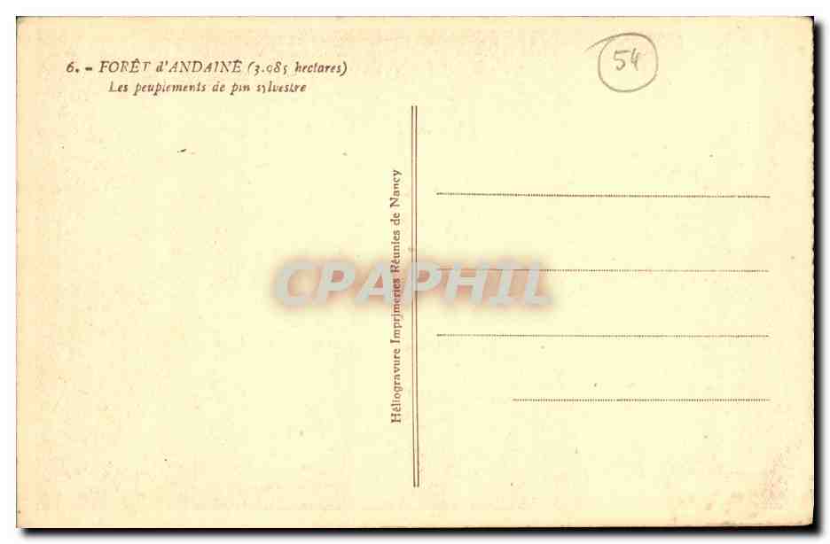 Forêt d'Andaine — Peuplements de pin sylvestre — Héliogravure Imprimeries Réunies de Nancy — Verso