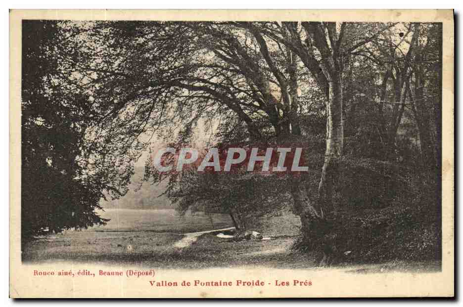 CPA Vallon de Fontaine Froide Les Pres