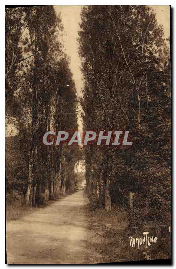 Allée de la Forêt des Saumonards — Boyardville — Éditions d'Art Raymond Bergerin