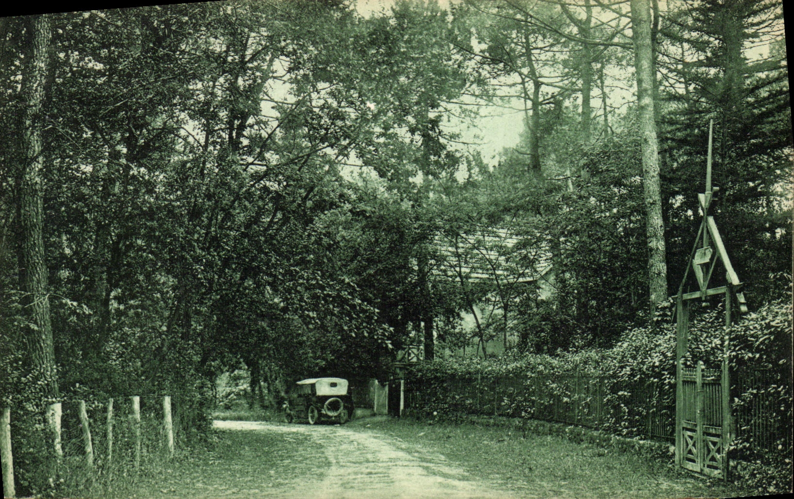CPA Royan Avenue des Chenes Verts