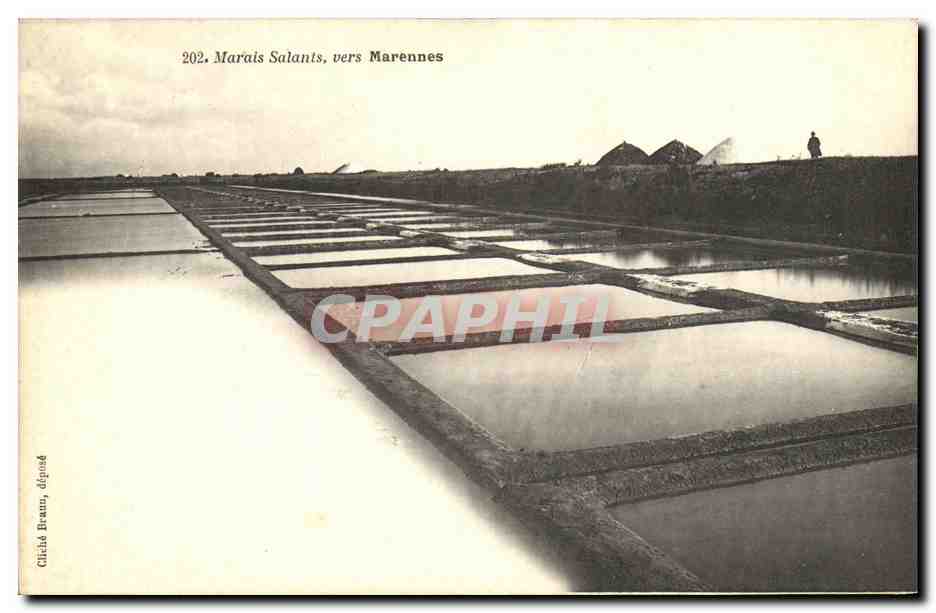 CPA Marennes Marais Salants 