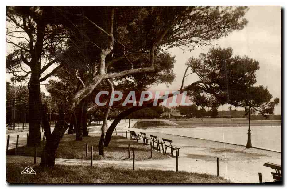 La Rochelle — La Plage à travers les Pins — C.A.P. 31
