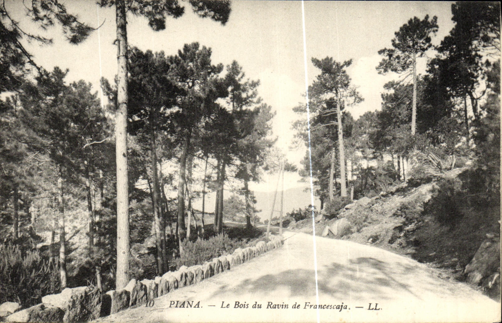 Piana — Le Bois du Ravin de Francescaja — LL. — N°10