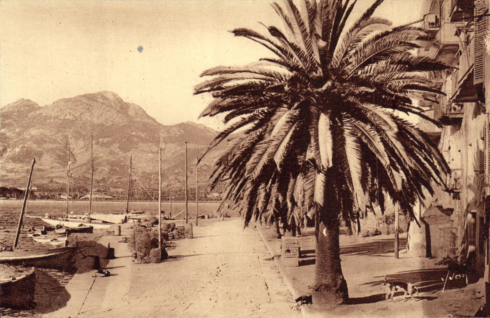 CPA La Corse Ile de Beaute Calvi La Marine Bateaux
