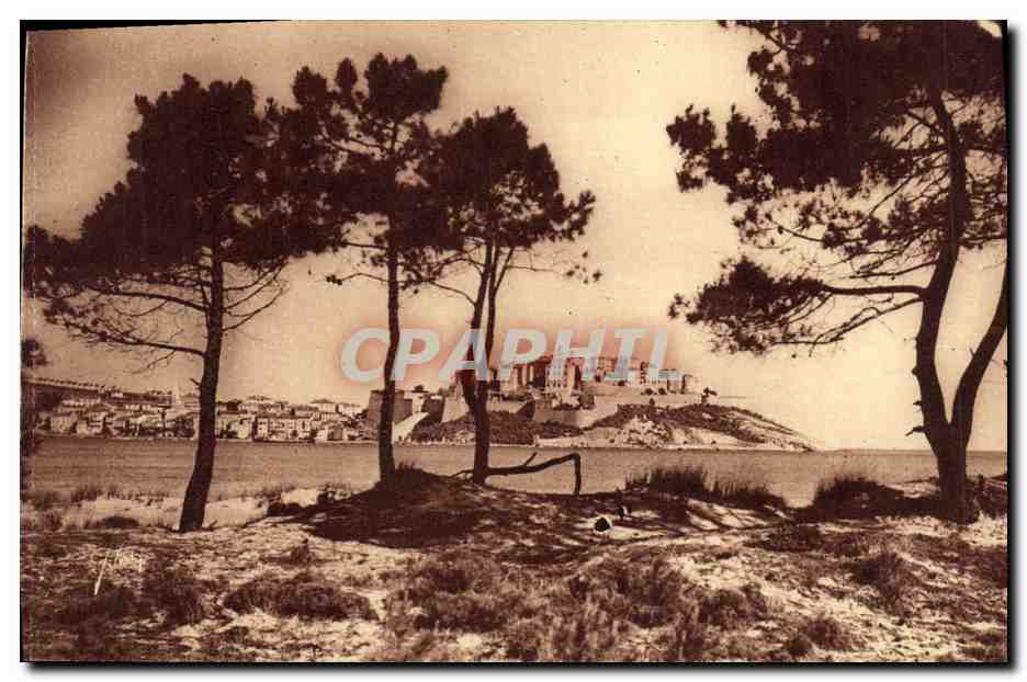 CPA La Corse Ile de Beaute Calvi La Haute et Basse Ville Vues de la Plage