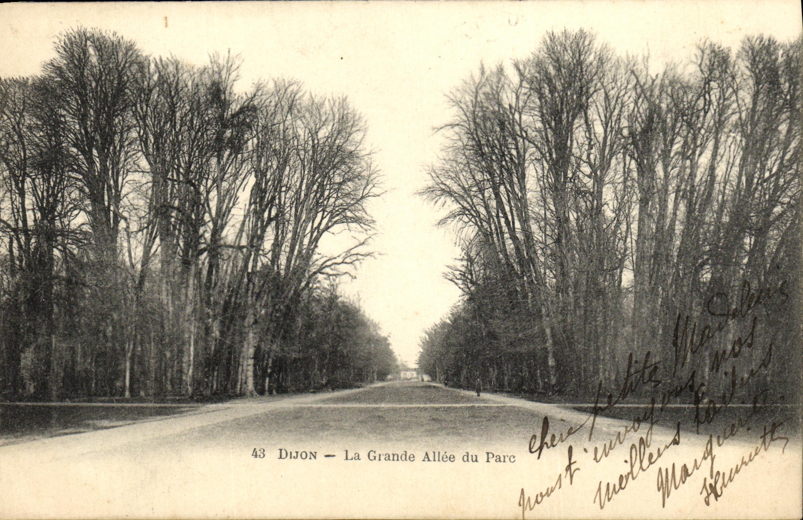 CPA Dijon La Grande Allee du Parc