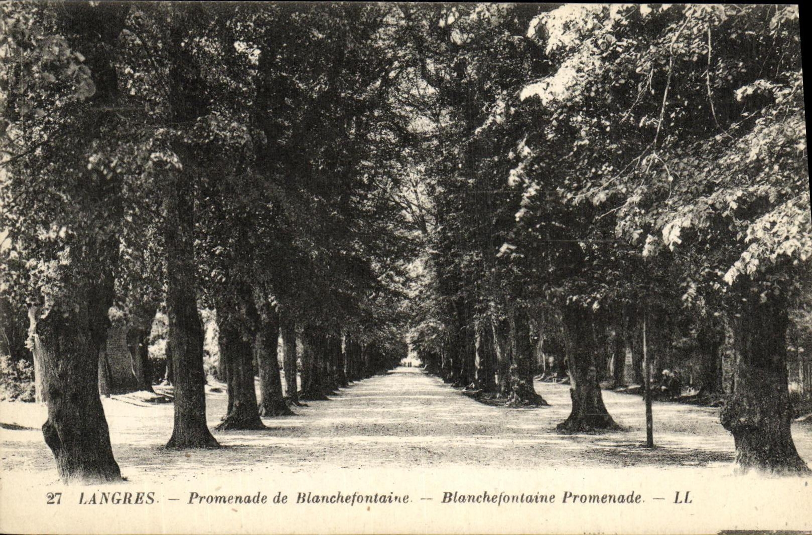 CPA Langres Promenade de Blanchefontaine 