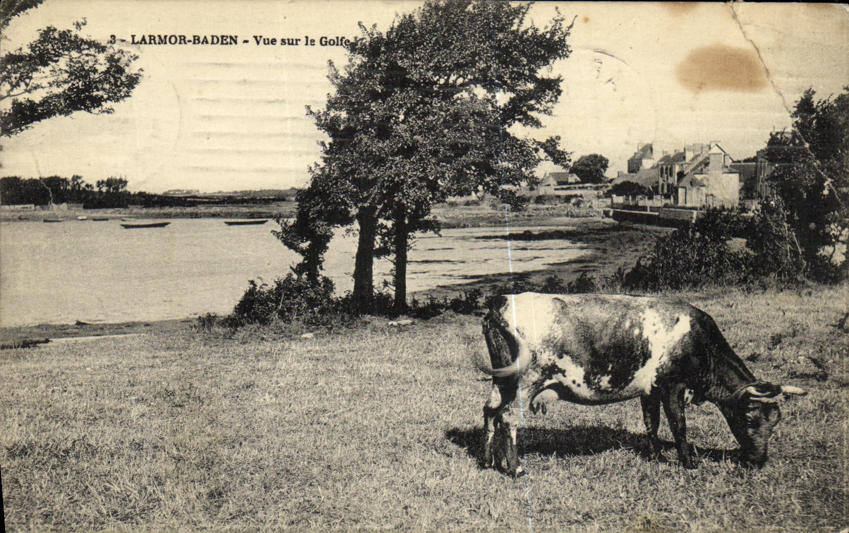 CPA Larmor Baden Vue sur le Golfe Vache