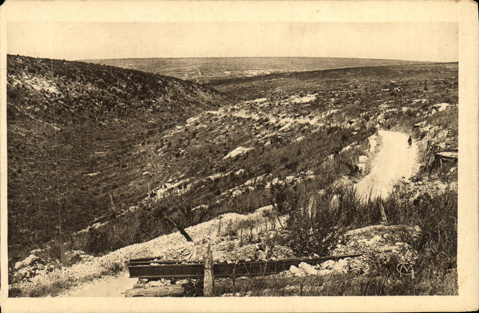 Der Ravin der Dame — auch als Ravin der Toten bekannt, im Hintergrund die Côte du Poivre — Ossuaire de Douaumont