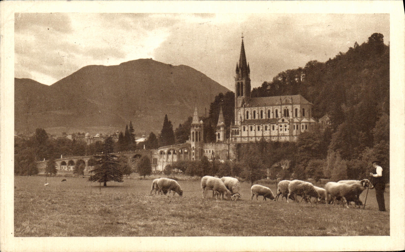 CPA Lourdes La Basilique Vue de la Prairie de la Grotte