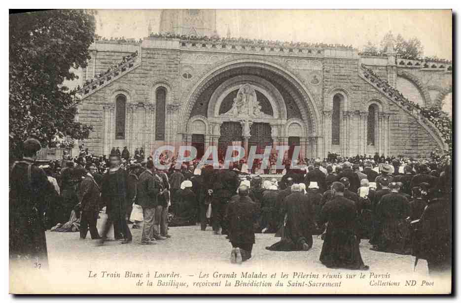 CPA Lourdes Le Train Blanc Les Grands Malades et Les Pelerins Reunius sur le Parvis