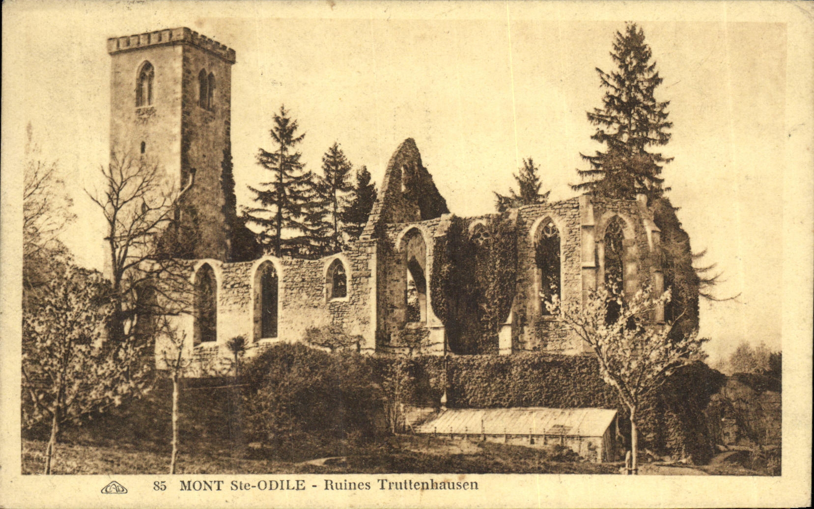 Mont Ste-Odile - Ruines Truttenhausen — éditeur CPA 85