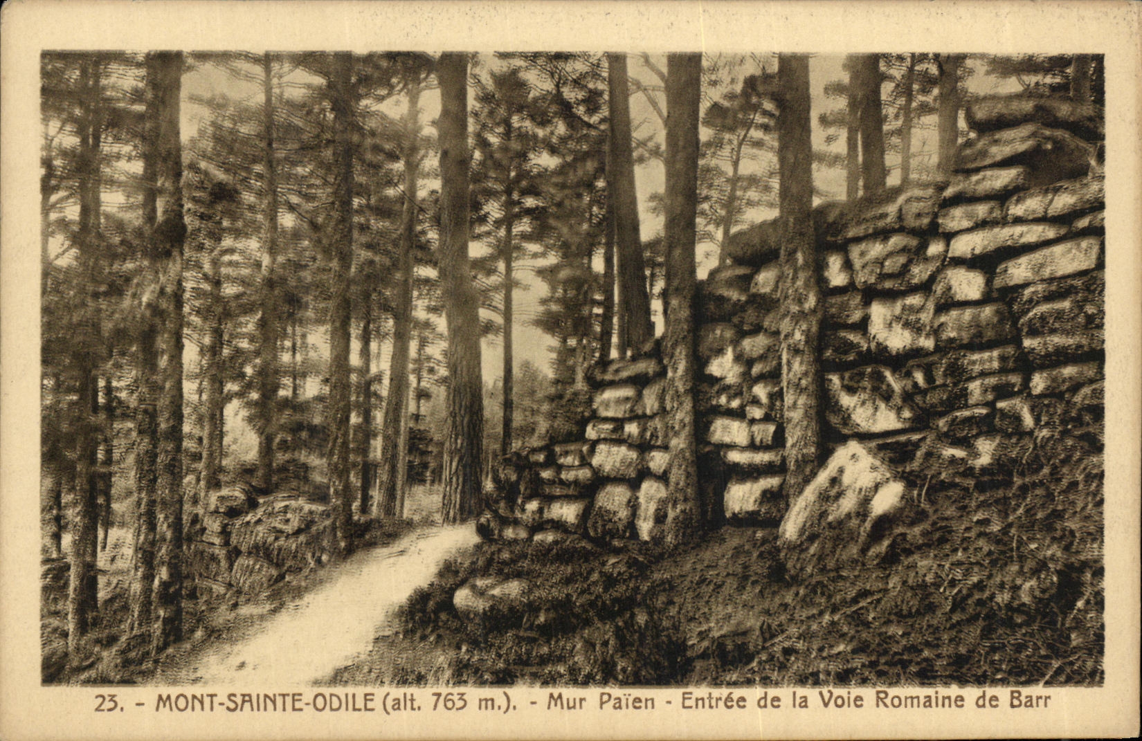 Mont-Sainte-Odile (alt. 763 m.) — Mur Païen - Entrée de la Voie Romaine de Barr