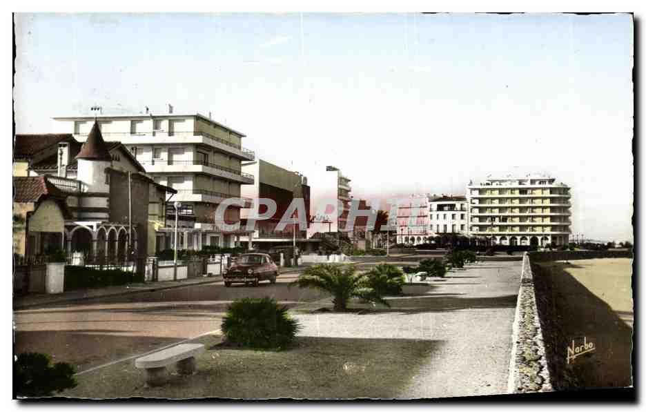 CPM Canet Plage Le Front de Mer les Nouvelles Constructions et le casino