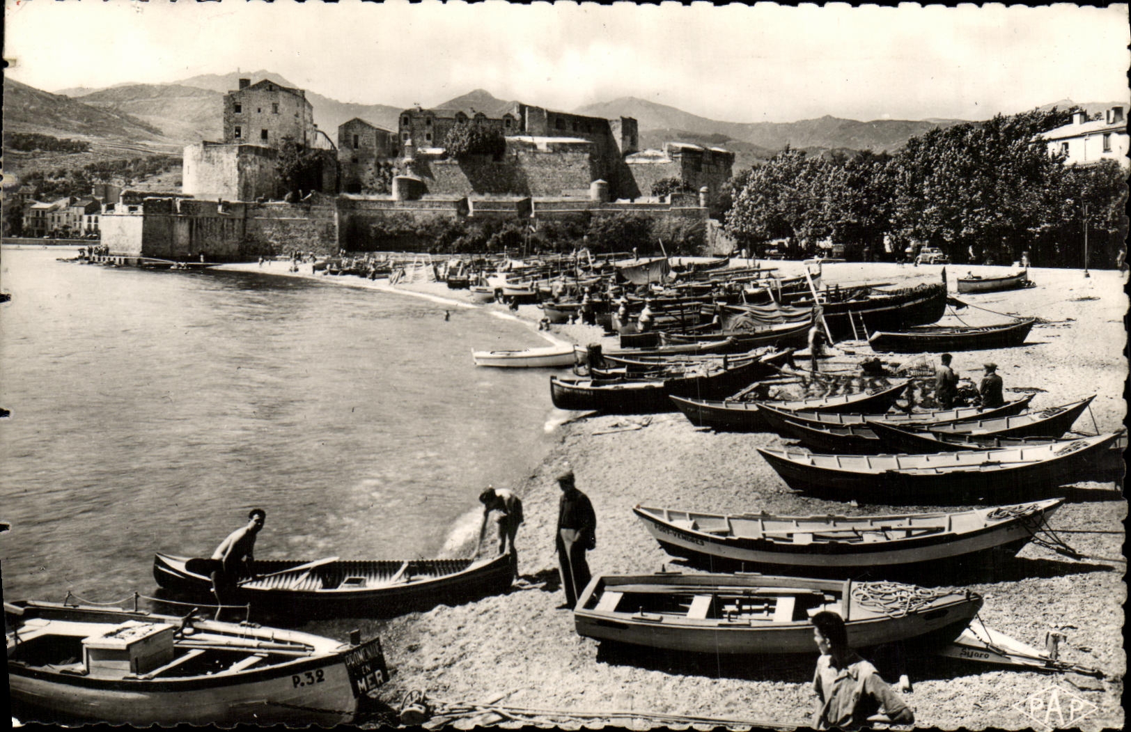 CPM Collioure Le Port de Peche Chateau des Templiers