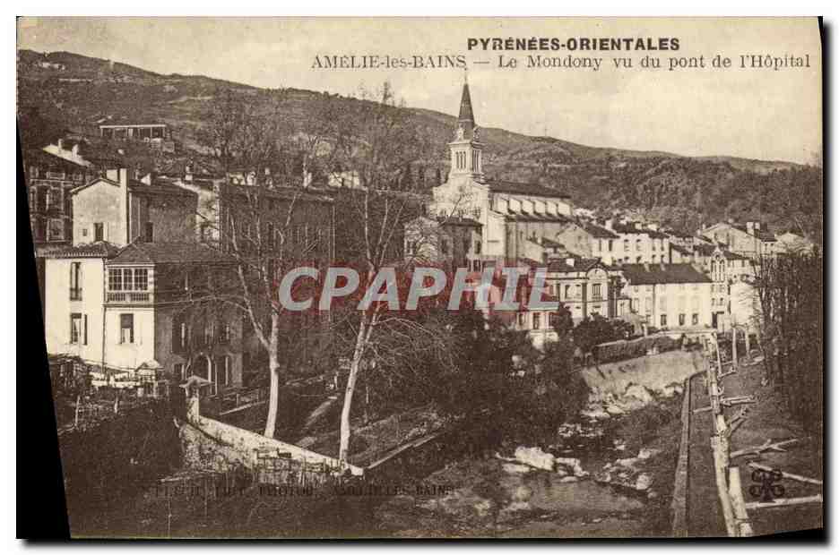 CPA Amelie Les Bains Le Mondony Vu Pont de L Hopital
