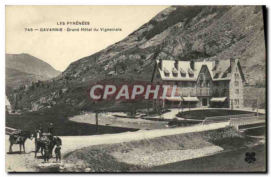 CPA Gavarnie Grand Hotel du Vignemale Anes Enfants