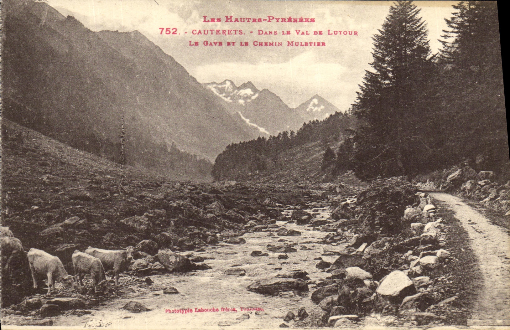 CPA Cauterets Dans Le Val De Lutour Le Gave Et le chemin muletier