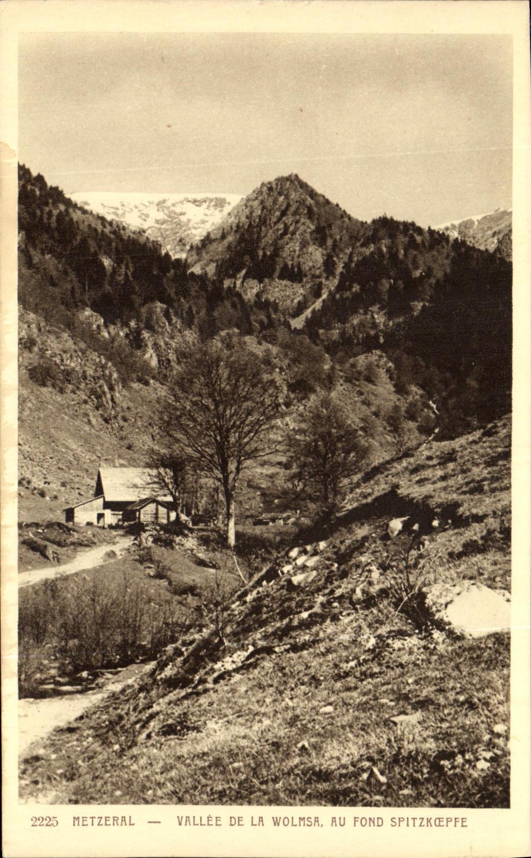 Metzeral — Vallée de la Wolmsa, au fond Spitzkëppe — éditeur Metzeral, n° 2225