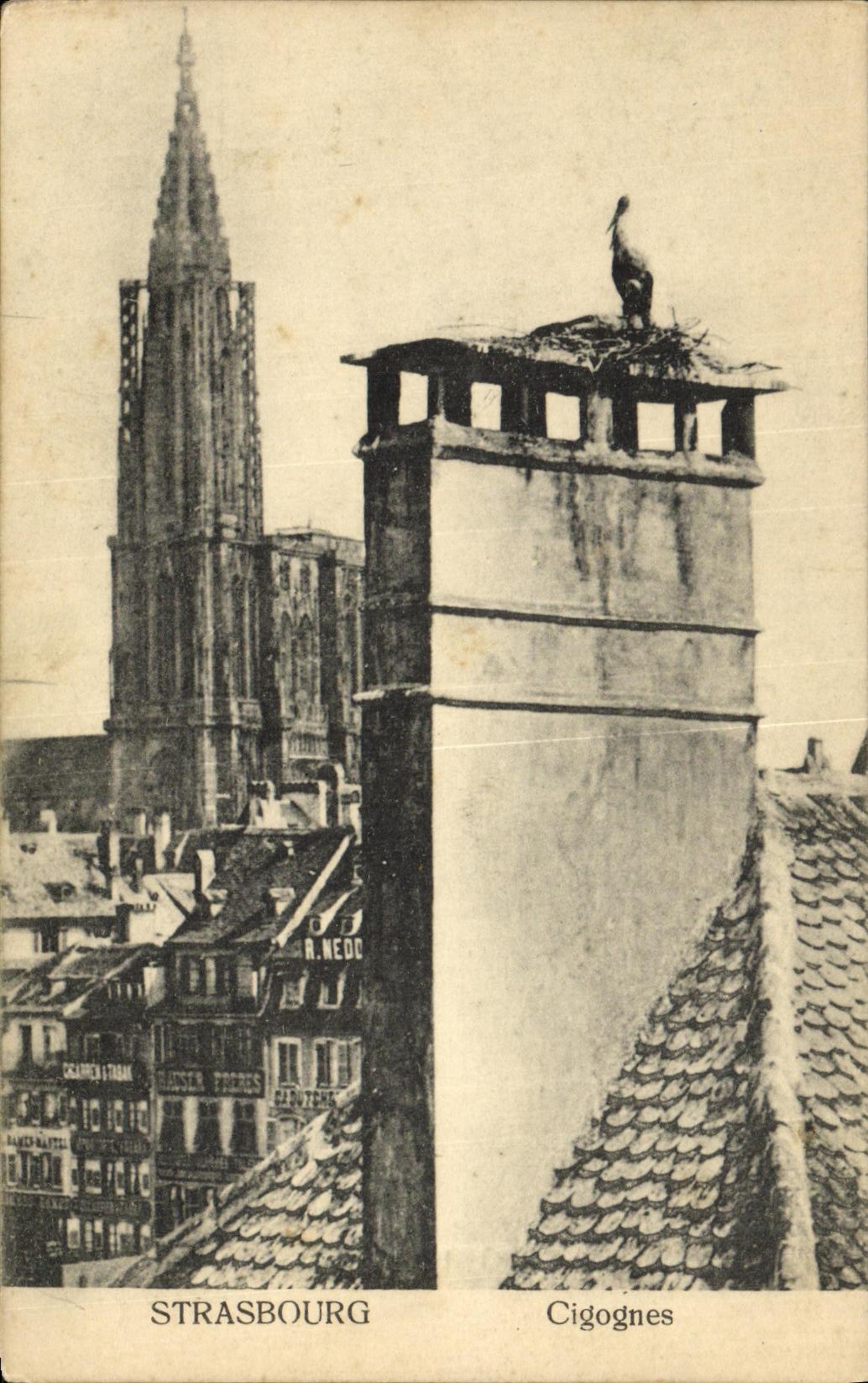 CPA Strasbourg Cigognes
