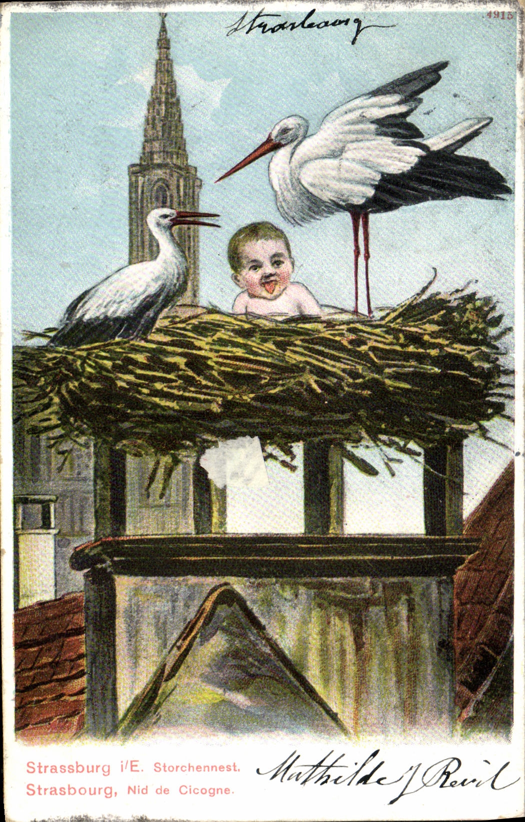 Strasbourg — Nid de cigogne avec bébé — Matthilde J. Perillat